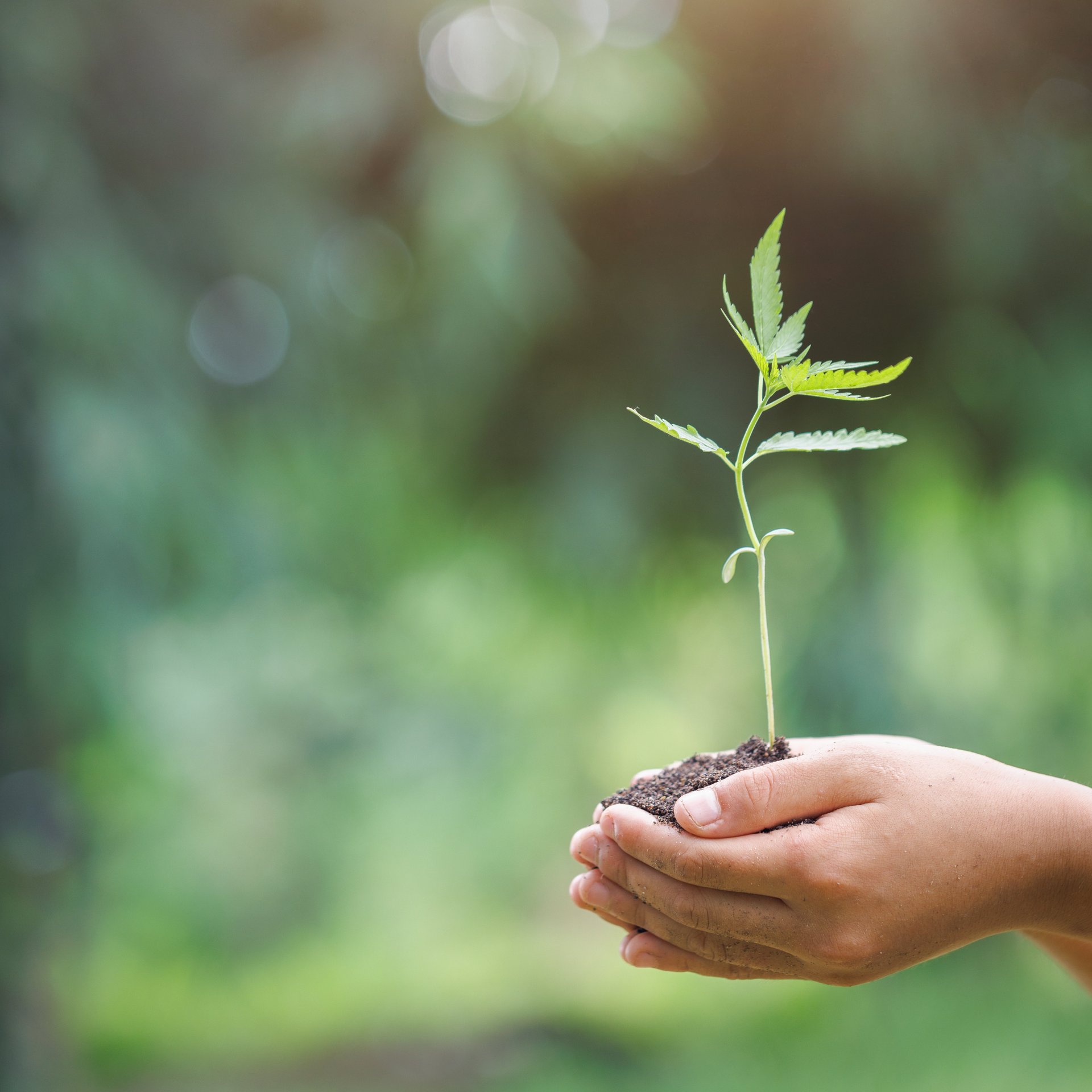 Sustainability approach in production and climate protection - Colasit