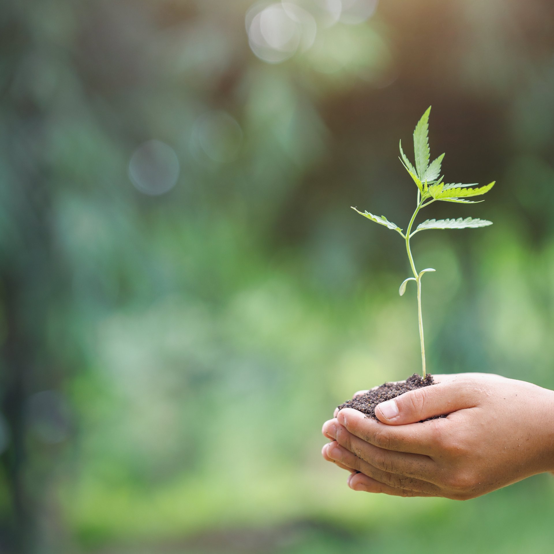 We champion sustainable production and climate protection - Colasit