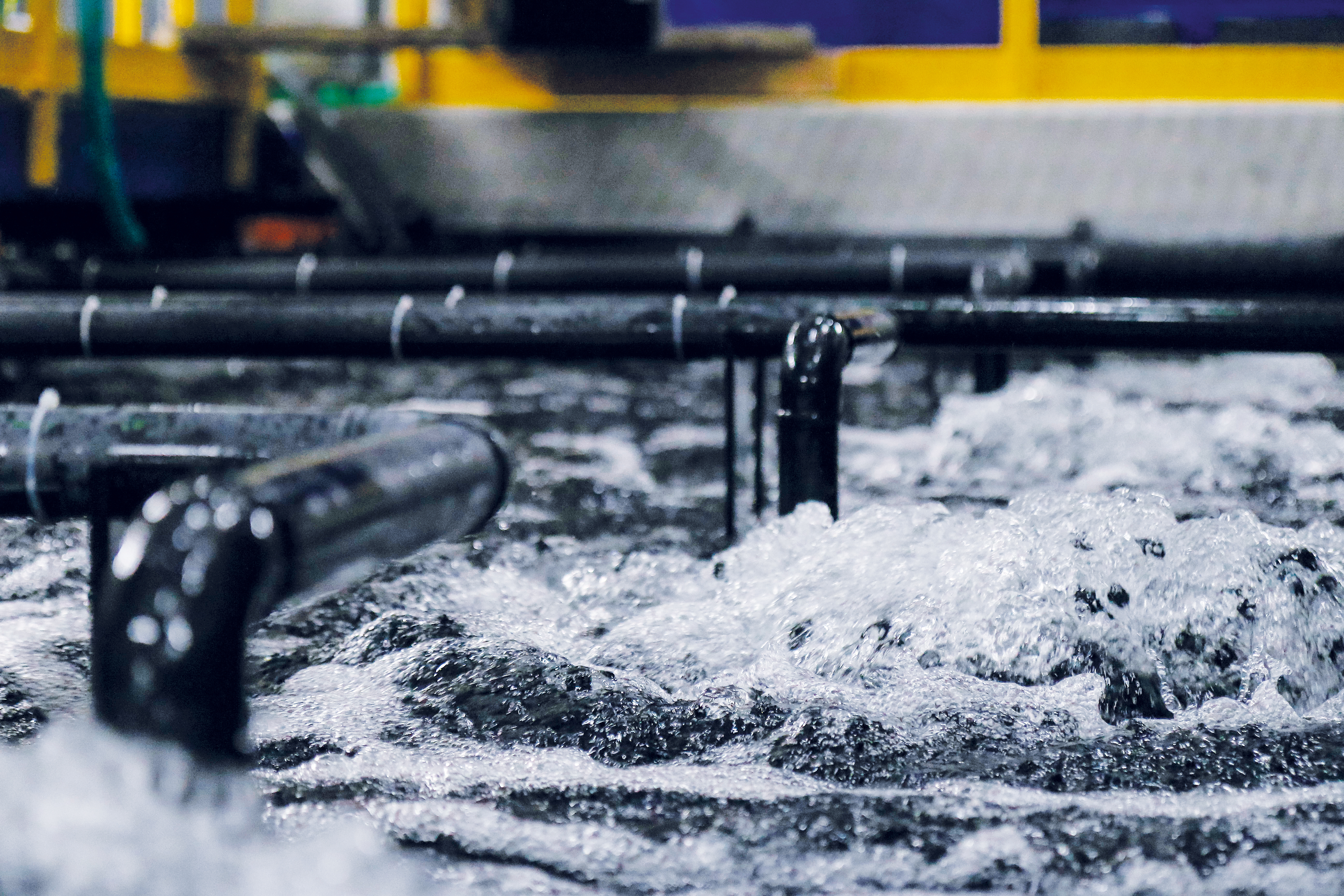 Aquaculture plants for sustainable fish breeding and breeding shellfish and water plants - Colasit